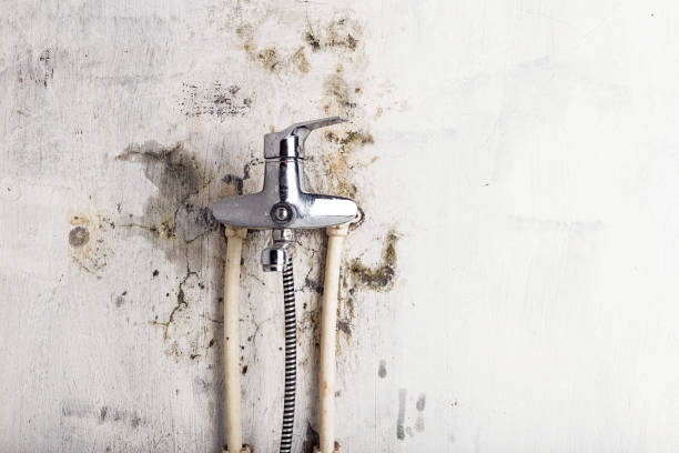 Home Mold Removal in Prairie Du Chien, WI