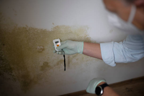 Best Mold Testing  in Prairie Du Chien, WI